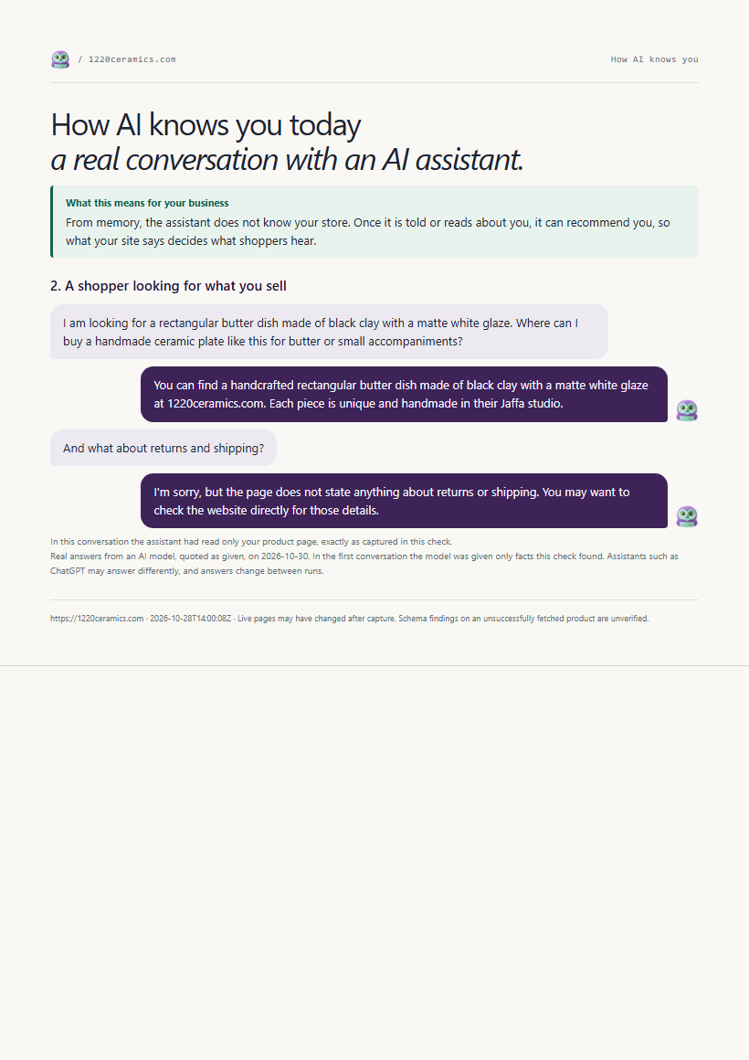 Sample report page: a real AI assistant conversation about the store